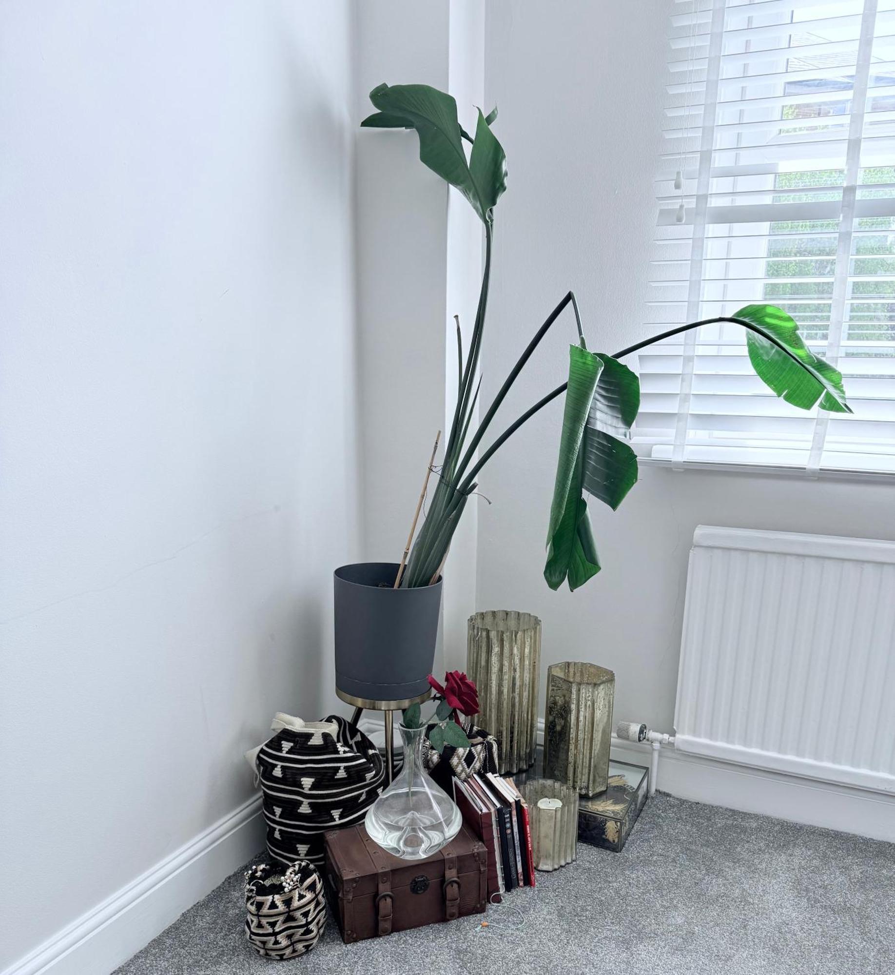 Bright And Modern Flat Near Portobello Road And The Canal London Exteriör bild